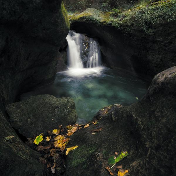 Sorgenti Alento - Lumaca Italia